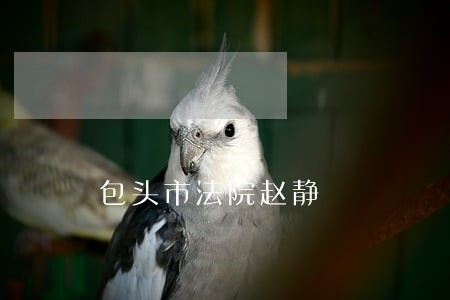 包头市法院赵静 包头市法院赵静