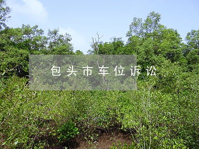 包头市车位诉讼
