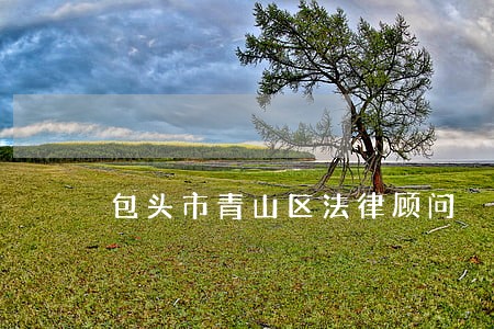 包头市青山区法律顾问 包头市青山区法律顾问