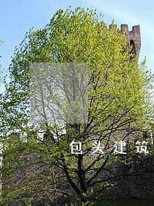 包头建筑房地产律师网站 包头建筑房地产律师网站