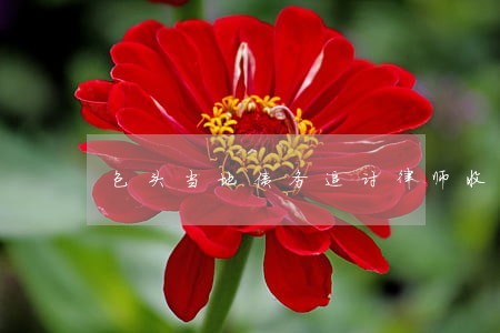 包头当地债务追讨律师收费