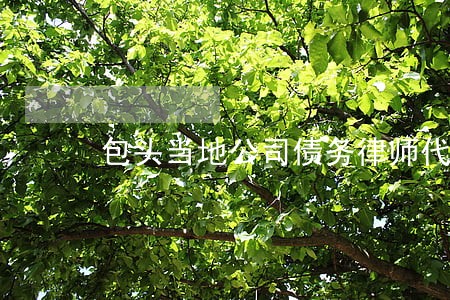 包头当地公司债务律师代理费 包头当地公司债务律师代理费