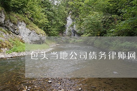 包头当地公司债务律师网站