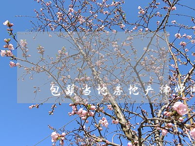 包头当地房地产律师网 包头当地房地产律师网