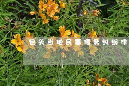 包头当地民事债务纠纷律师推荐 包头当地民事债务纠纷律师推荐