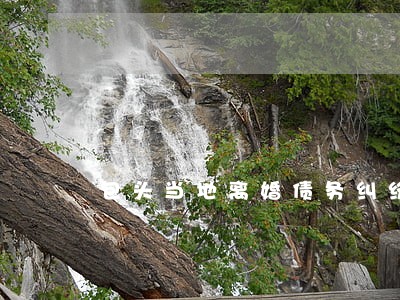 包头当地离婚债务纠纷律师排行 包头当地离婚债务纠纷律师排行