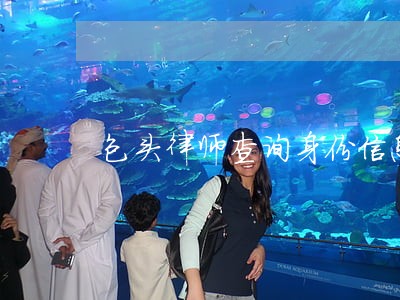 包头律师查询身份信息 包头律师查询身份信息