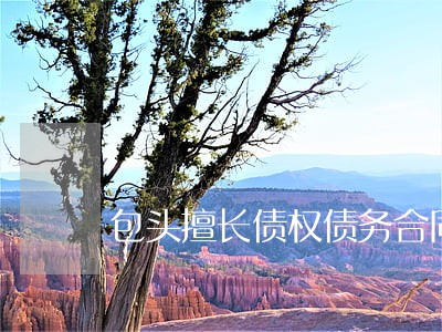 包头擅长债权债务合同律师 包头擅长债权债务合同律师