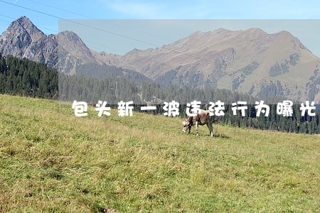 包头新一波违法行为曝光