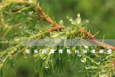 包头民事债务纠纷律师服务 包头民事债务纠纷律师服务