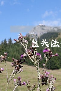 包头法律援助热线 包头法律援助热线