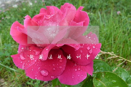 包头法规培训中心