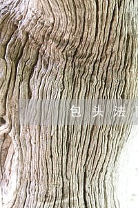 包头法院案件名单