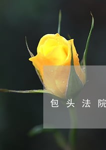 包头法院烈日风暴 包头法院烈日风暴