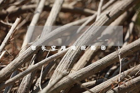包头空难法规原因 包头空难法规原因