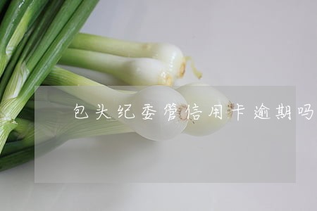 包头纪委管信用卡逾期吗