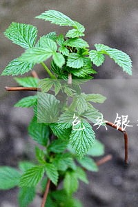包头银行信用卡逾期一天 包头银行信用卡逾期一天