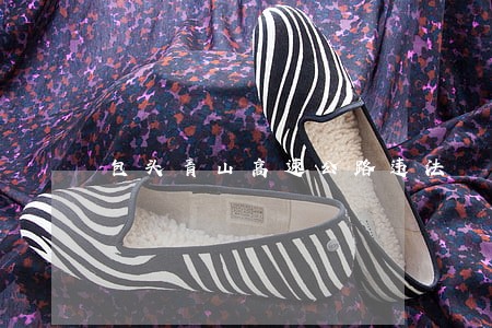包头青山高速公路违法