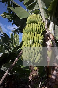 包工头信用卡逾期了 包工头信用卡逾期了