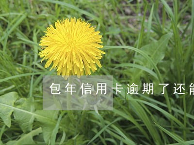 包年信用卡逾期了还能用吗 包年信用卡逾期了还能用吗