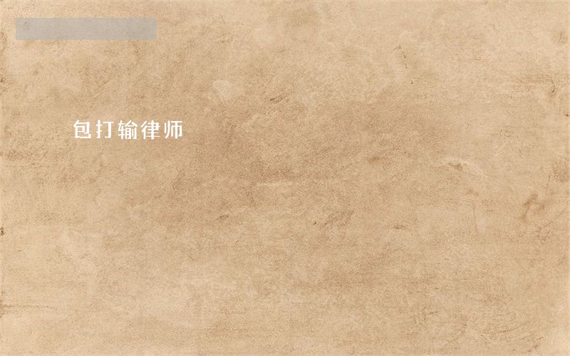 包打输律师 包打输律师