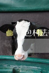 包村法律顾问咨询案例 包村法律顾问咨询案例