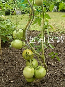 包河区减刑缓刑律师哪个好