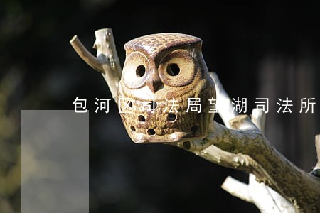 包河区司法局望湖司法所