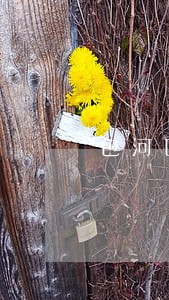 包河区法院主任郑 包河区法院主任郑