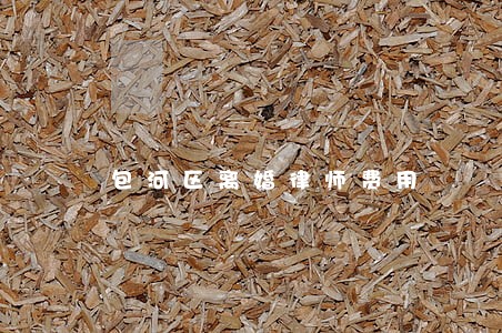 包河区离婚律师费用 包河区离婚律师费用