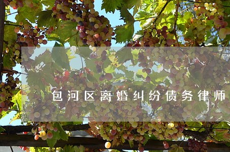 包河区离婚纠纷债务律师 包河区离婚纠纷债务律师