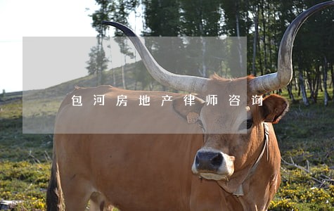 包河房地产律师咨询 包河房地产律师咨询
