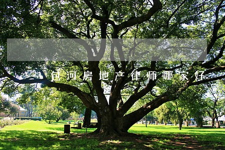 包河房地产律师哪家好 包河房地产律师哪家好