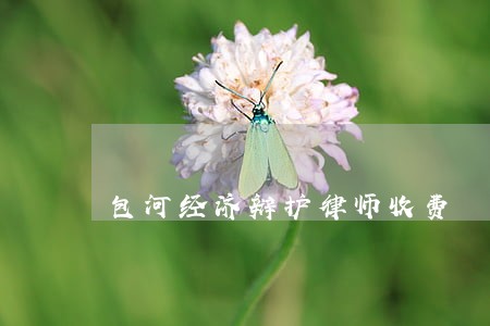 包河经济辩护律师收费 包河经济辩护律师收费