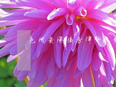 包河资深债务律师收费 包河资深债务律师收费