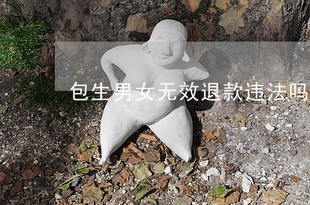 包生男女无效退款违法吗