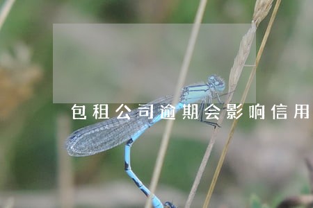 包租公司逾期会影响信用吗 包租公司逾期会影响信用吗