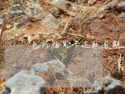 包行信用卡还款逾期 包行信用卡还款逾期