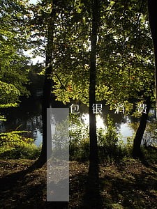 包银消费逾期10天