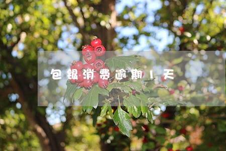 包银消费逾期1天 包银消费逾期1天