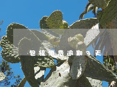 包银消费逾期3天 包银消费逾期3天
