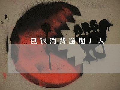 包银消费逾期7天 包银消费逾期7天