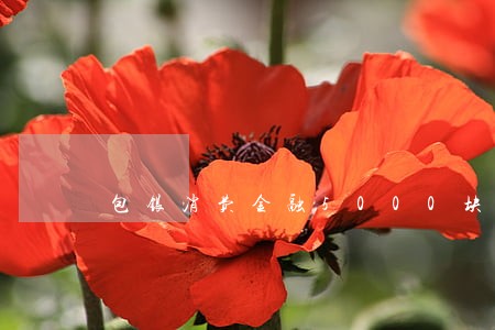 包银消费金融5000块逾期 包银消费金融5000块逾期
