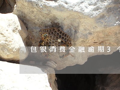 包银消费金融逾期3个月 包银消费金融逾期3个月