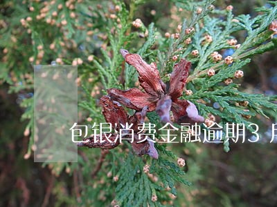 包银消费金融逾期3月 包银消费金融逾期3月