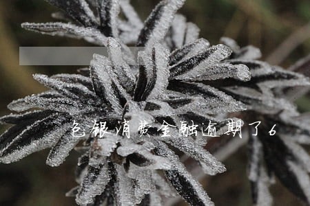 包银消费金融逾期了6 包银消费金融逾期了6