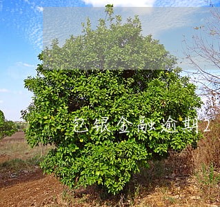 包银金融逾期2天上征信吗 包银金融逾期2天上征信吗