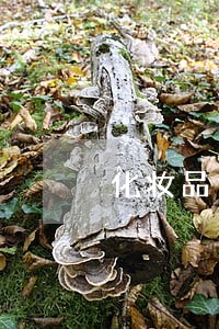 化妆品包装上标注美白违法 化妆品包装上标注美白违法