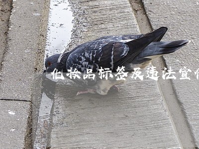 化妆品标签及违法宣传 化妆品标签及违法宣传