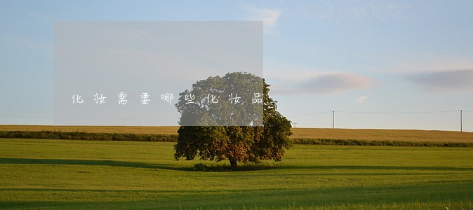 化妆需要哪些化妆品 化妆需要哪些化妆品